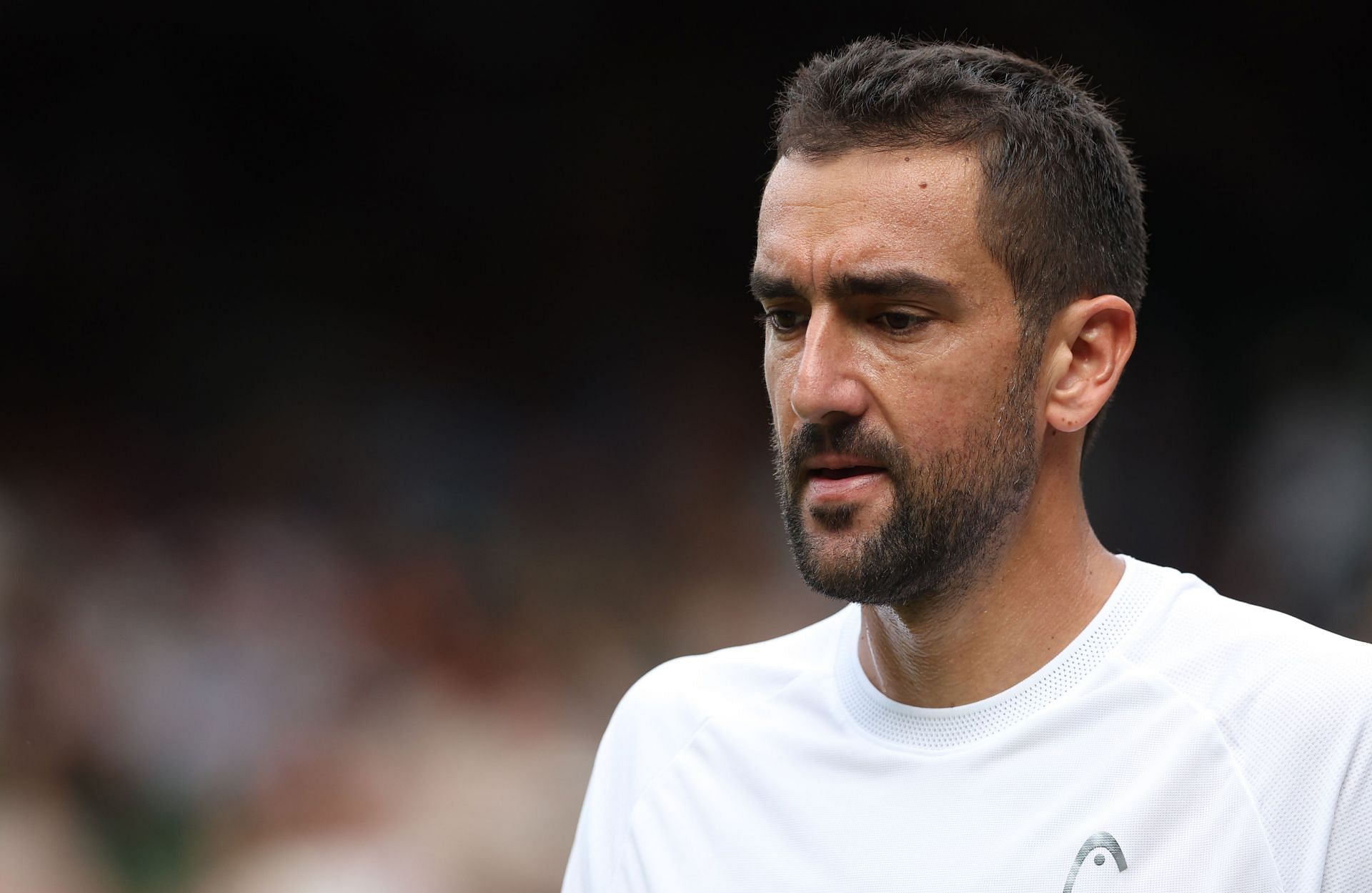 Cilic at The Championships - Wimbledon 2025 - Source: Getty